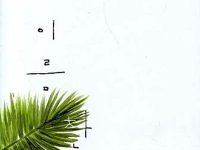 주 이름 찬양