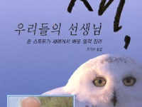 새, 우리들의 선생님